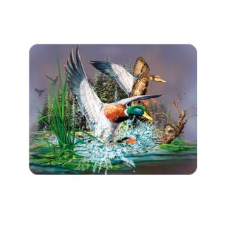 Obrázek z Magnet 3D 7x9cm - kachny (25) 